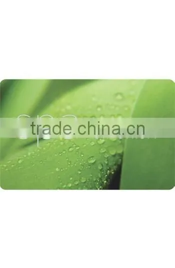 Plastic Standard Spa Club VIP Membership Card