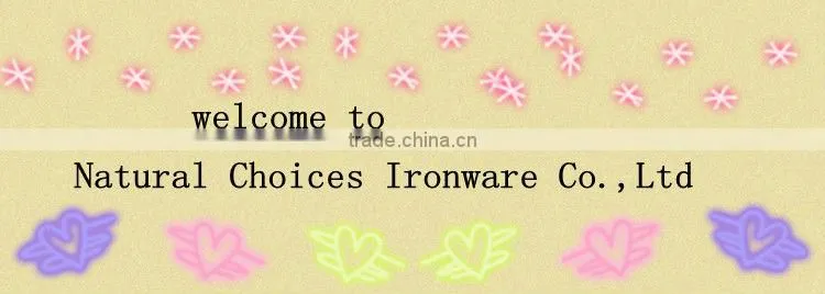 Hight quality decorative wrought iron garden fence