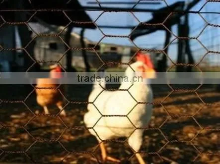 25mm x 1.2m x 25m Gi Hexagonal Wire Mesh For Dubai Market/Chicken wire mesh rolls