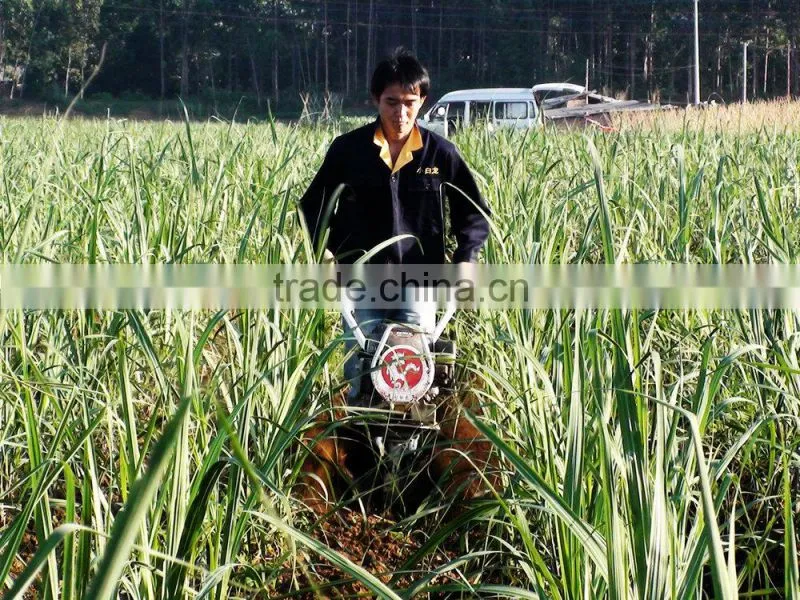 single cylinder sesame agriculture mini tractor mini tractors china