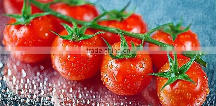 Huminrich 70%HA 25%FA 12%K2O Super Potassium Humate With Fulvic Acid
