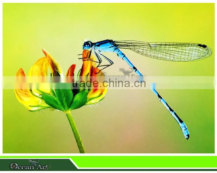 2014 new products palyground insects