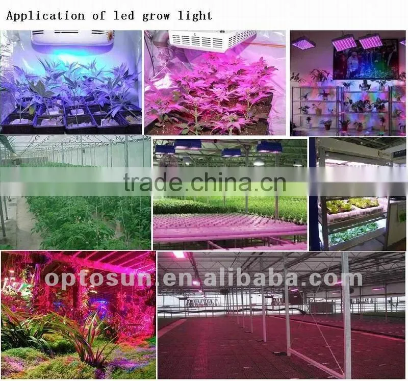 3 watt full spectrum grow led light