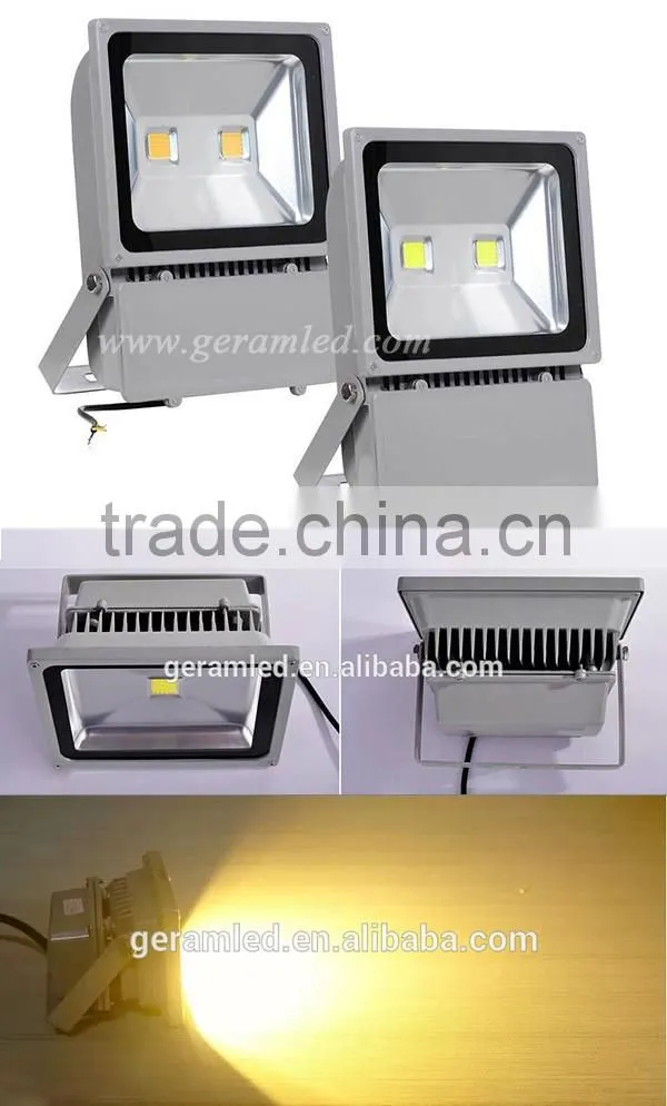 High Quality CE ROHS COB SMD Outdoor IP65 IP66 10W 20W 30W 50W 70W 100W 150W LED Floodlight