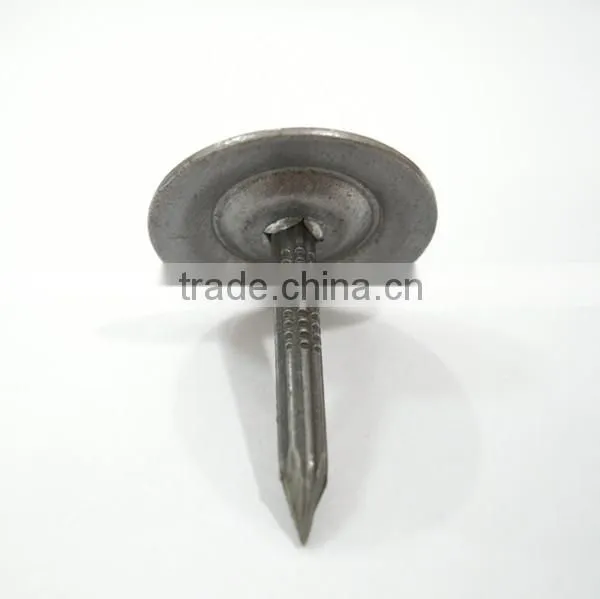 Metal round cap masnory nails/iron nails/roofing nails