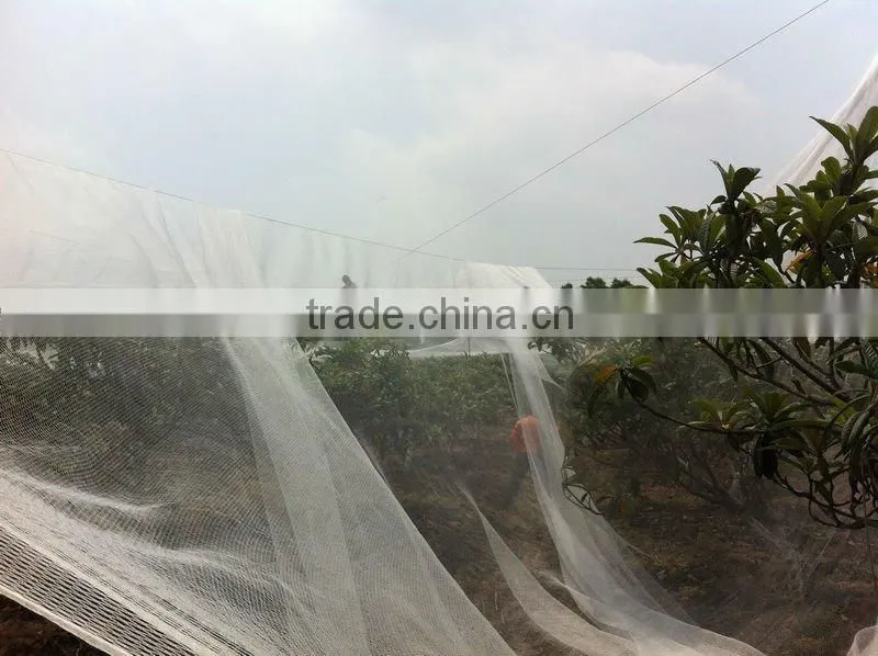 Canopy bird netting / 20101-45