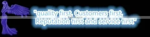 Accept Paypal 2015 Sexy Corset&Plus Size Cheap Waist Training Corsets (wholesale)