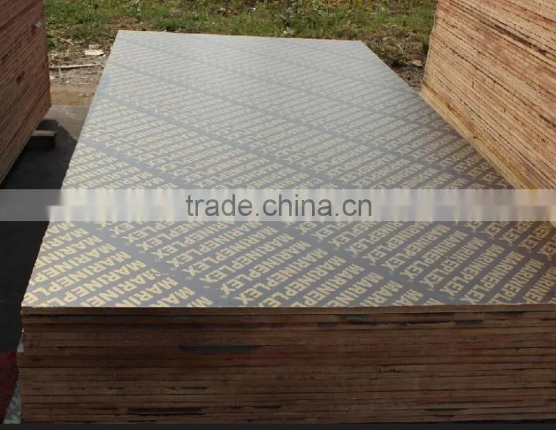 Outdoor Waterproof Plywood for Construction