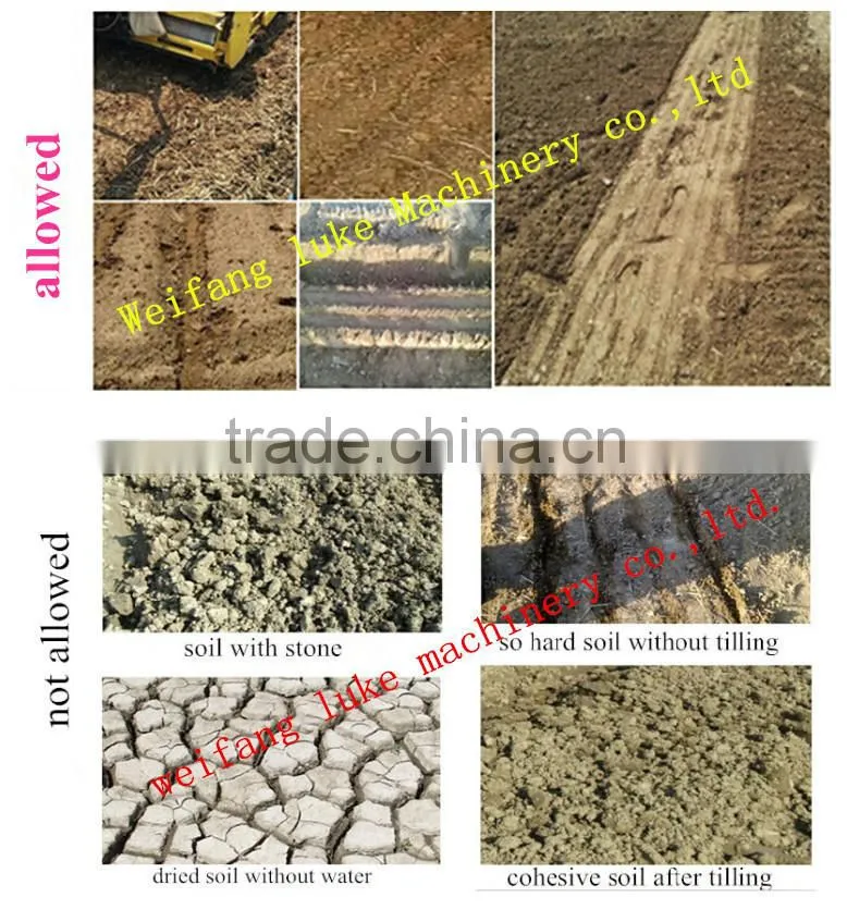 high precision sesame cabbage vegetable precision planter with cheap price