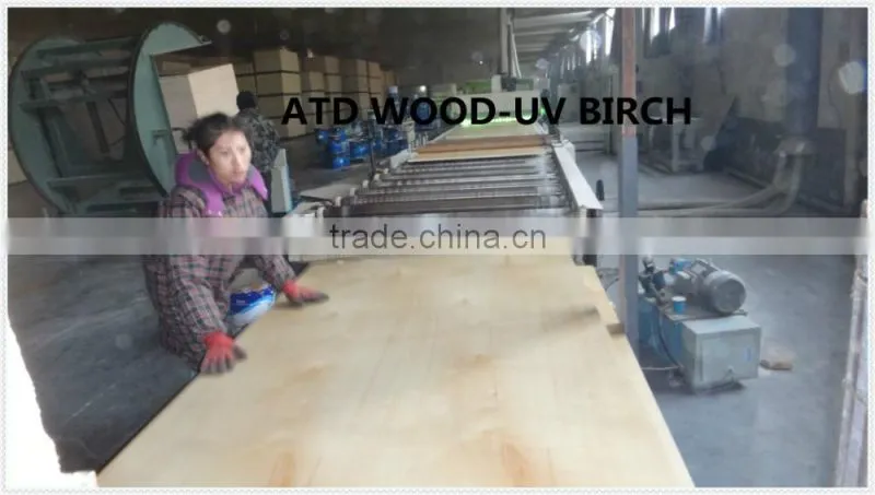 UV birch plywood