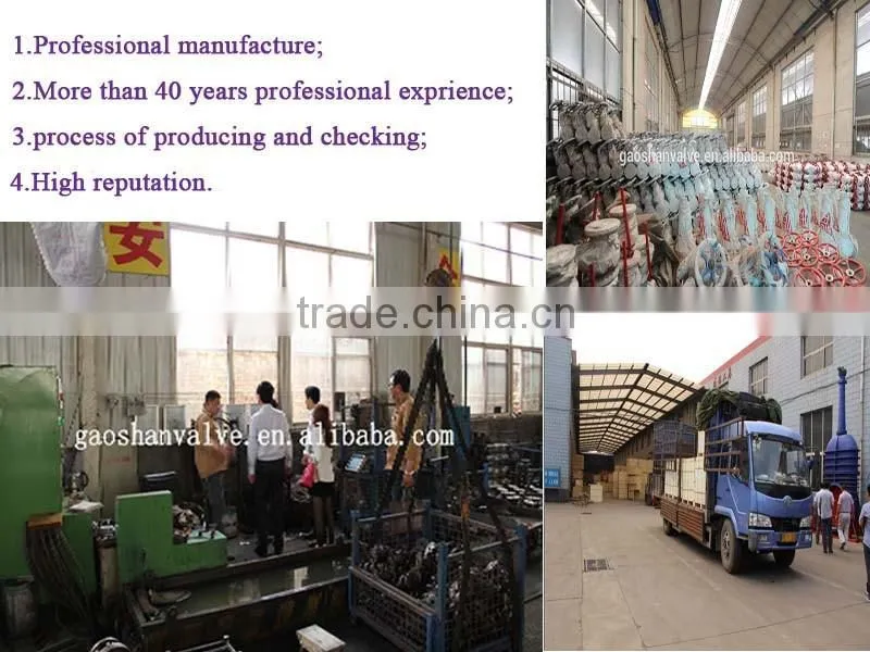BSP/NPT threaded 316 stainless steel pipe fitting union