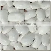 Green Mung Beans In China