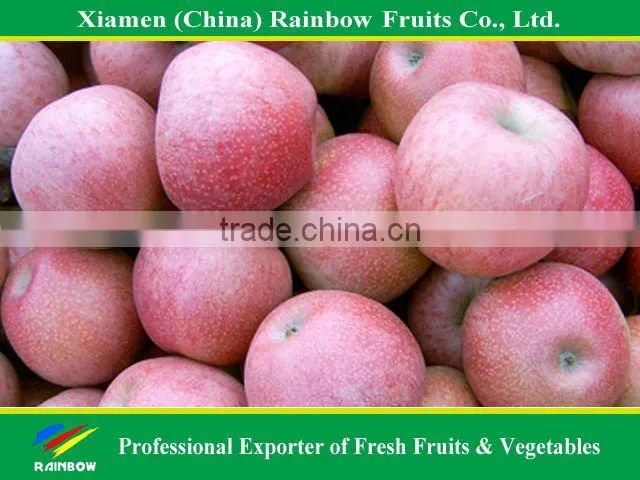 Apple Fruit