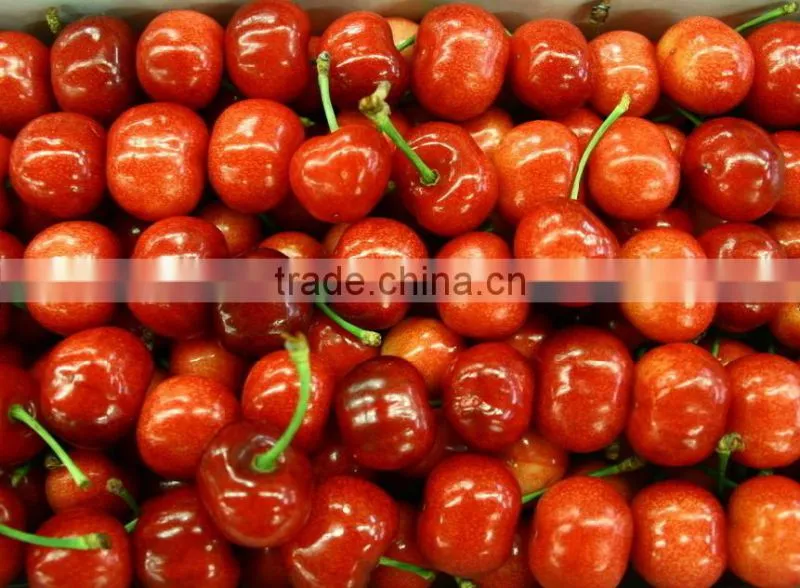 Red cherry fruit tree seeds for Growing