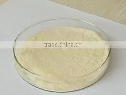 Pure and Natural Dried Banana Fruit Powder Musa Paradisiaca /Food Grade Banana Flavour Instant Powder