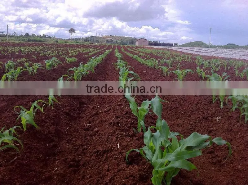 best quality organic fertilizer crusher//0086-15838061756