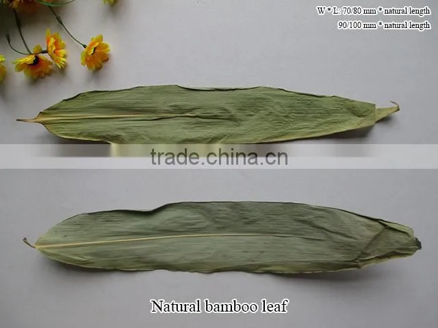 dried Bamboo leaf