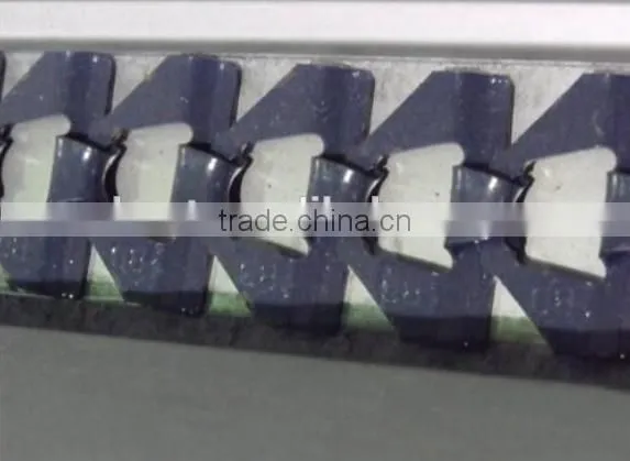 Breeder Chicken Chain Feeding System