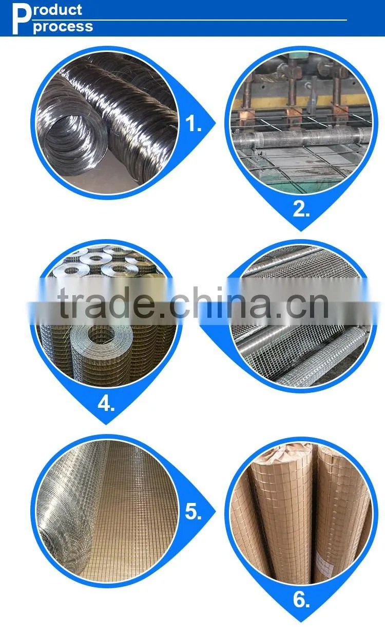 Alibaba factory price 1/4 inch galvanized welded wire mesh