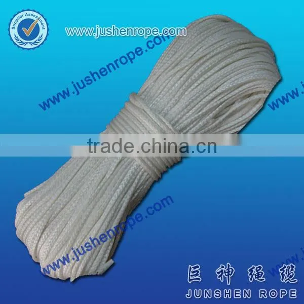 Customized updated synthetic rope electric winch