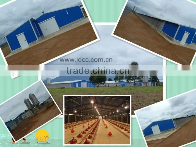 Steel structure poultry house