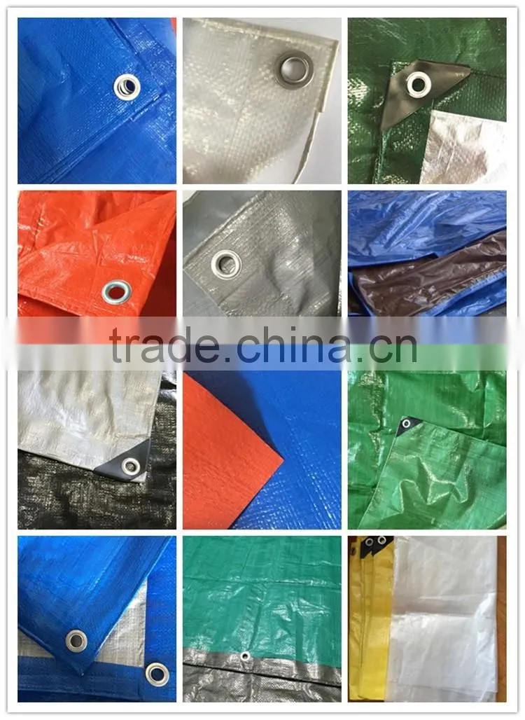 The cheap PP/PE Tarpaulin