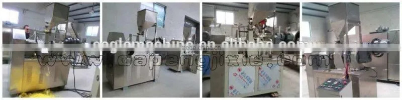 Jinan Eagle nik naks corn cheetos chips kurkure making machine plant