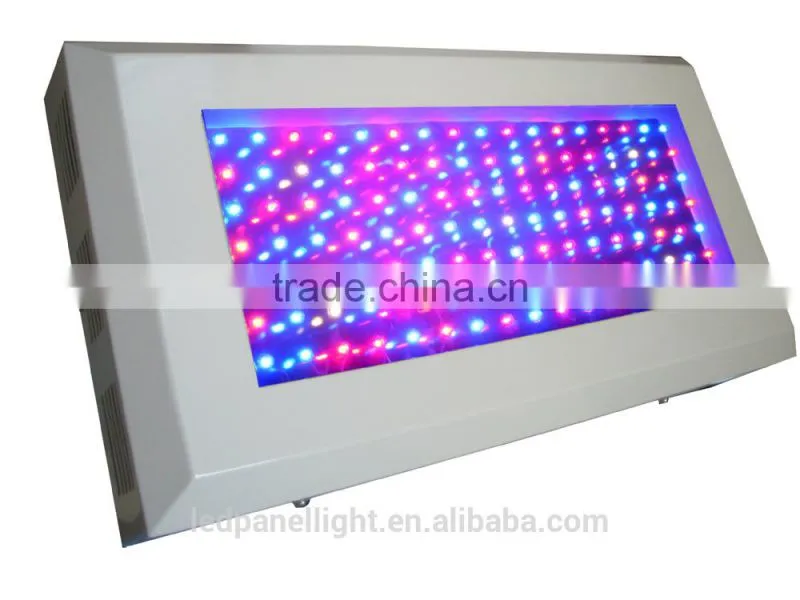 Attractive fish aquarium led light 864w help the fish more healthy growth