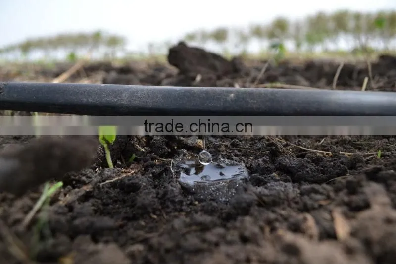 8212 high quality water saving line irrigation PE drip for garden and greenhouse