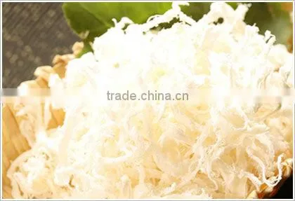 dried squid snacks