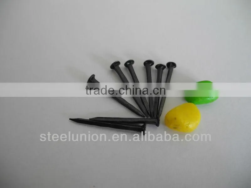 shoe tack nails