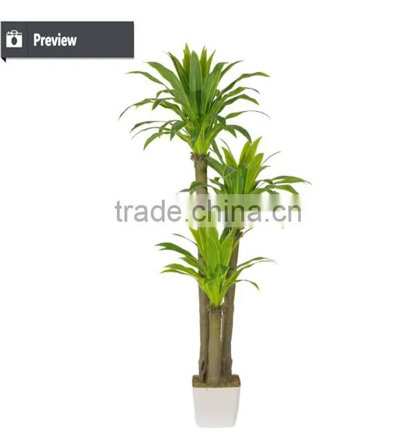 New products on china market outdoor ficus tree bonsai palm tree for christmas