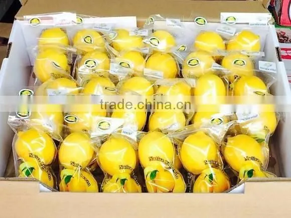 Yellow lemon for sale