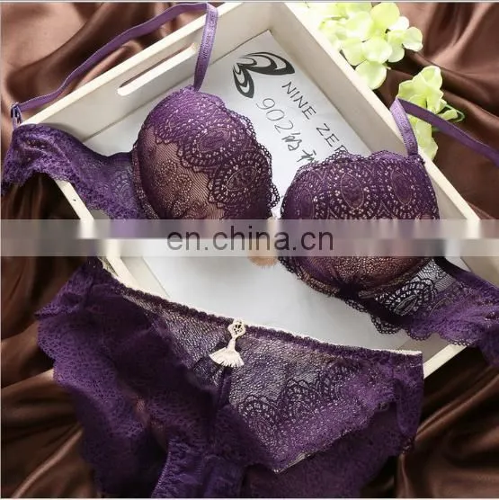 In Stock 2017 New Arrival Lace Bra Desi Women Sexy Photo Sexy Hot Girl  Women Transparent Bra Lace Sexy Fancy Bra Panty Set