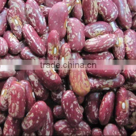organic beans