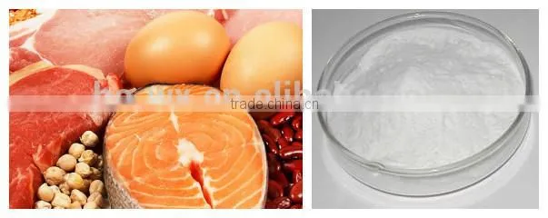 Vacuum Liquid Continuous Dryer For Animal Albumen