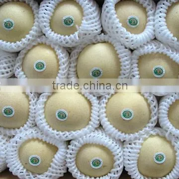 Chinese Emerald pear