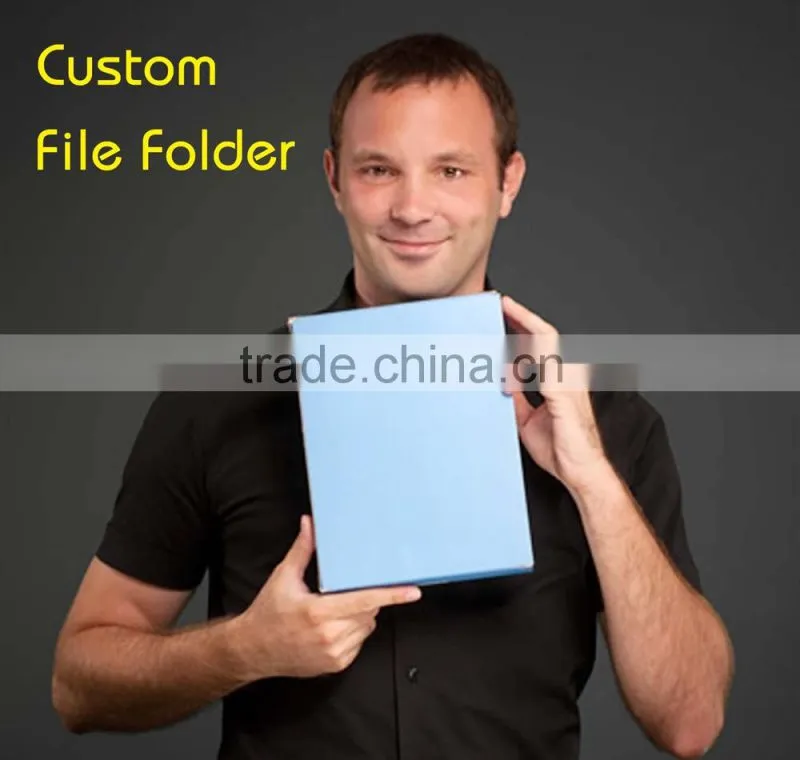 OEM plastic pockets file folder, plastic file folder, pvc file folder,plastic clear file folder