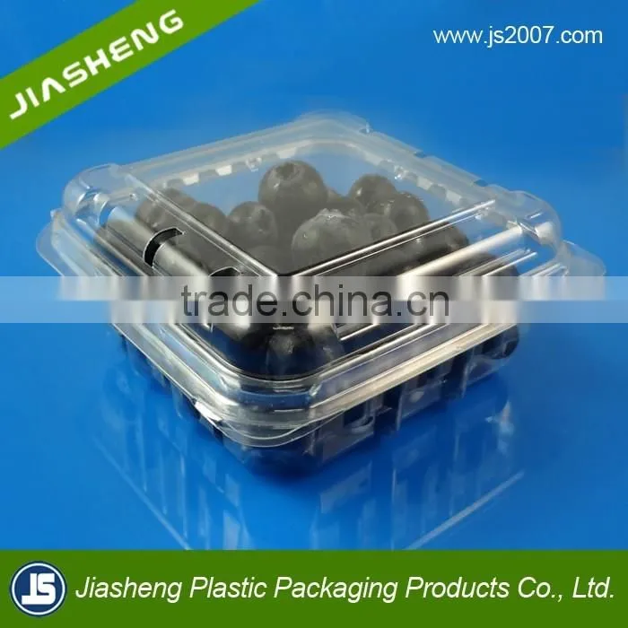 PET Clear plastic clamshell blueberry containers factory supplier