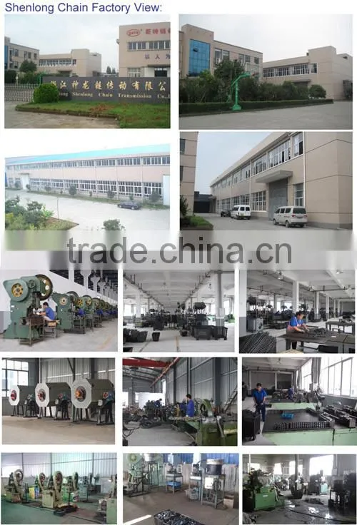 Accumulations chains double pitch 212BS with big steel roller and both side with small steel roller