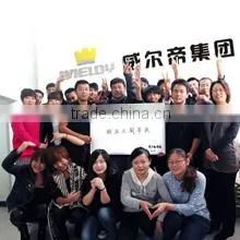 Beijing Wieldy Camera Equipment Sales Co., Ltd. company overview - view 1
