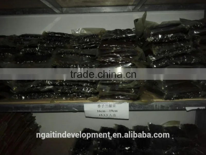 21-22cm Real Madagascar Black Vanilla Bean