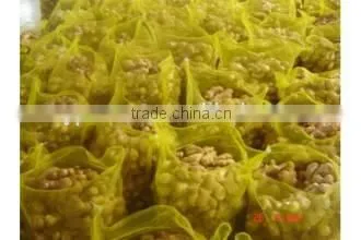 New crop ginger farming with competitive export price