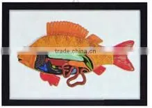 animal anatomy model,fish relief model