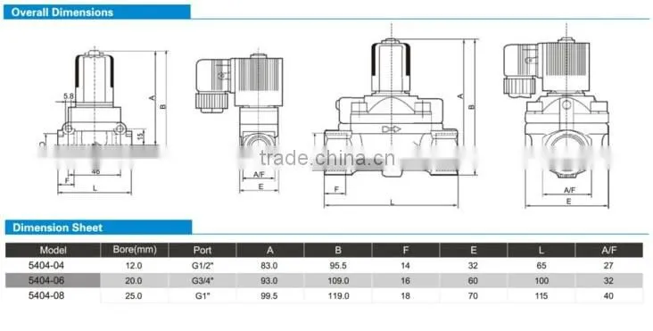 5404 Series High Pressure High Temperature water heater solenoid valve