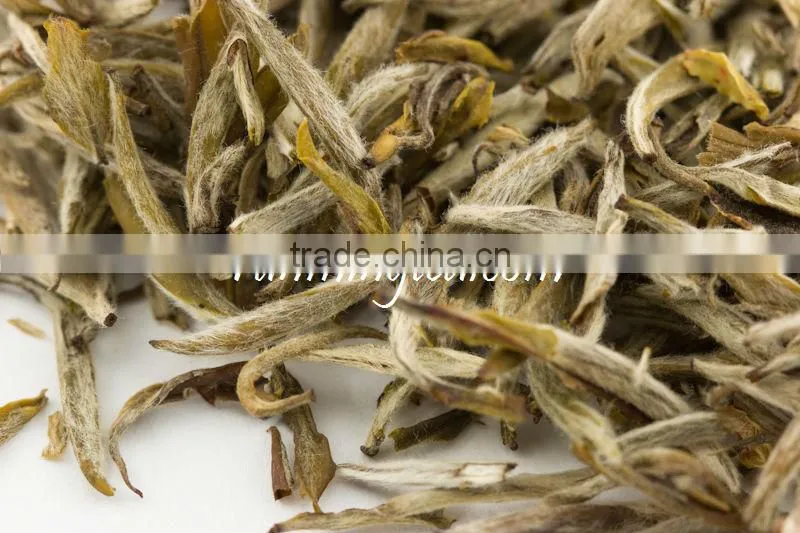 2016 June Imperial Fuding Silver Needle Jasmine Tea Brands