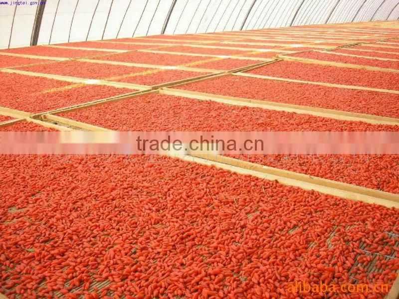 organic certificate dried goji berries