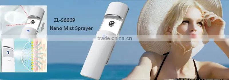Handheld facial steamer for sale