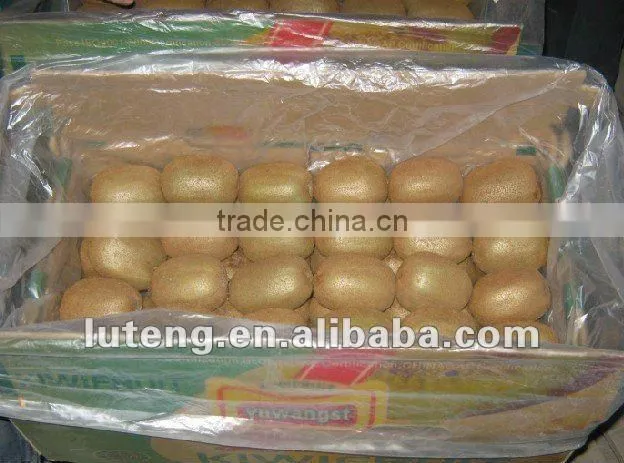2016 new crop chinese fresh kiwi fruits with good quality