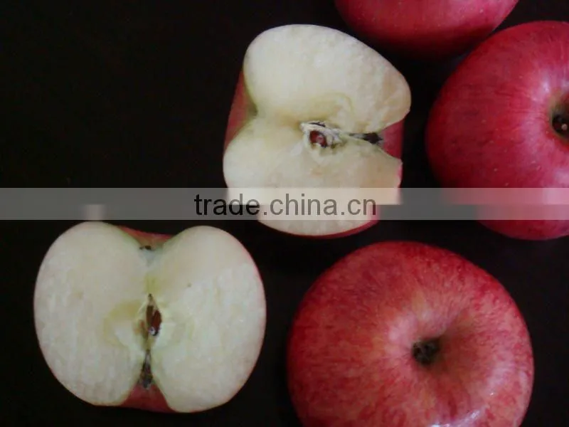 Red Fuji Apple